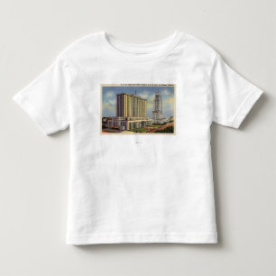 U. S. Post Office, City Hall, & Federal Building Toddler T-Shirt