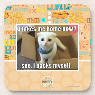 U take me home now? coaster