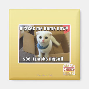U take me home now? magnet