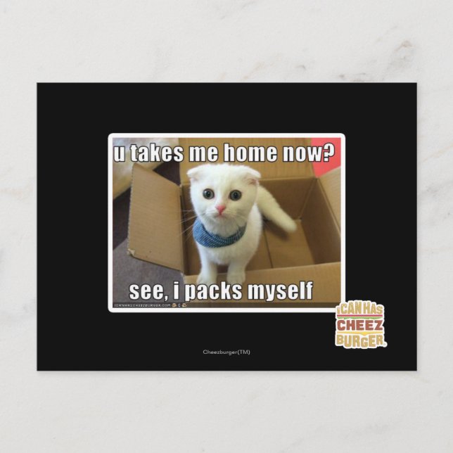 U take me home now? postcard (Front)