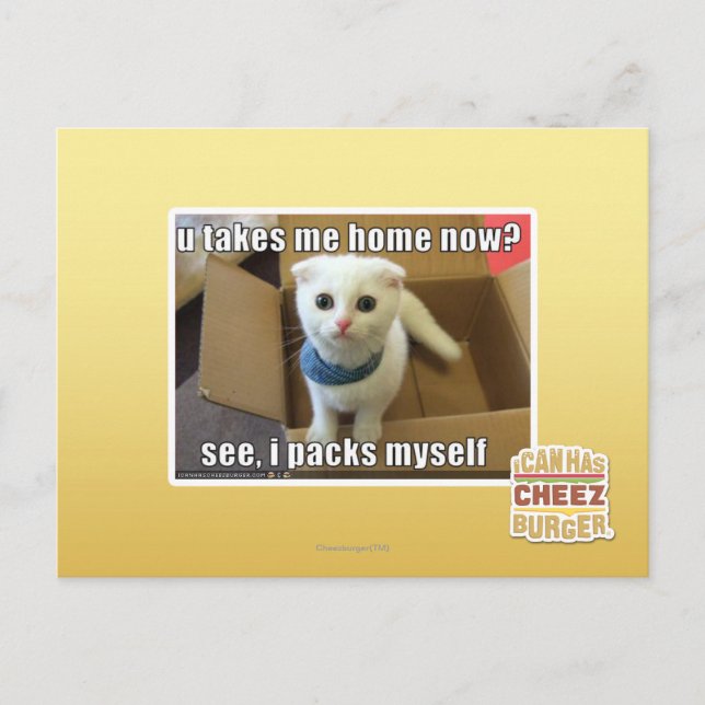 U take me home now? postcard (Front)
