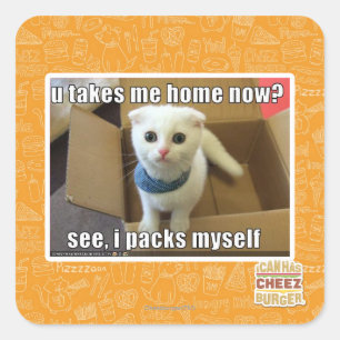 U take me home now? square sticker