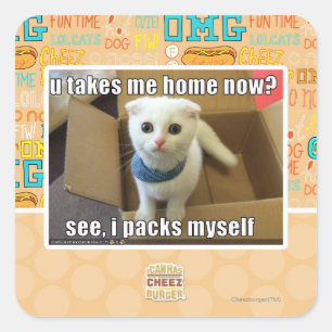 U take me home now? square sticker