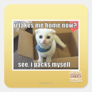 U take me home now? square sticker