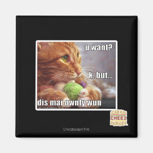 U want? magnet