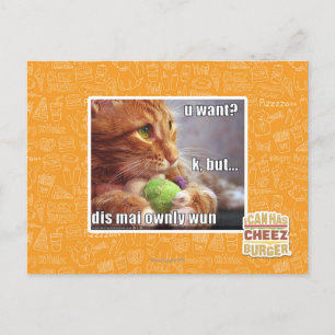 U want? postcard