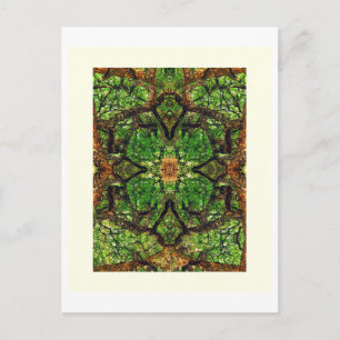 UABSTRACT AMBIDEXTROUS TREES #66, Edit G, Oil.   Postcard