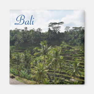 Ubud Bali Magnet