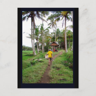 Ubud Bali Postcard