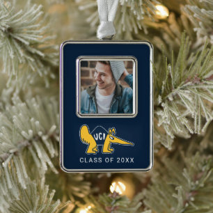 UC Irvine UCI Anteaters Silver Plated Framed Ornament