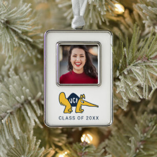 UC Irvine UCI Anteaters Silver Plated Framed Ornament