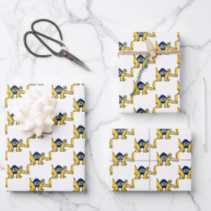 UC Irvine UCI Anteaters Wrapping Paper Sheet