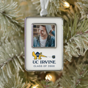 UC Irvine UCI Anteaters Zot! Silver Plated Framed Ornament