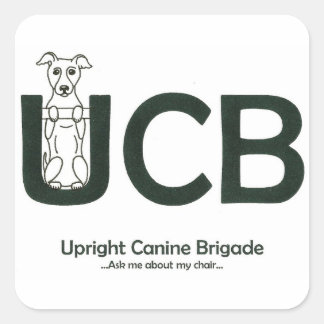 UCB logo Stickers