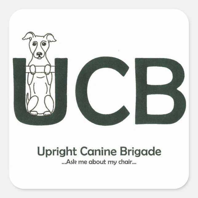 UCB logo Stickers (Front)