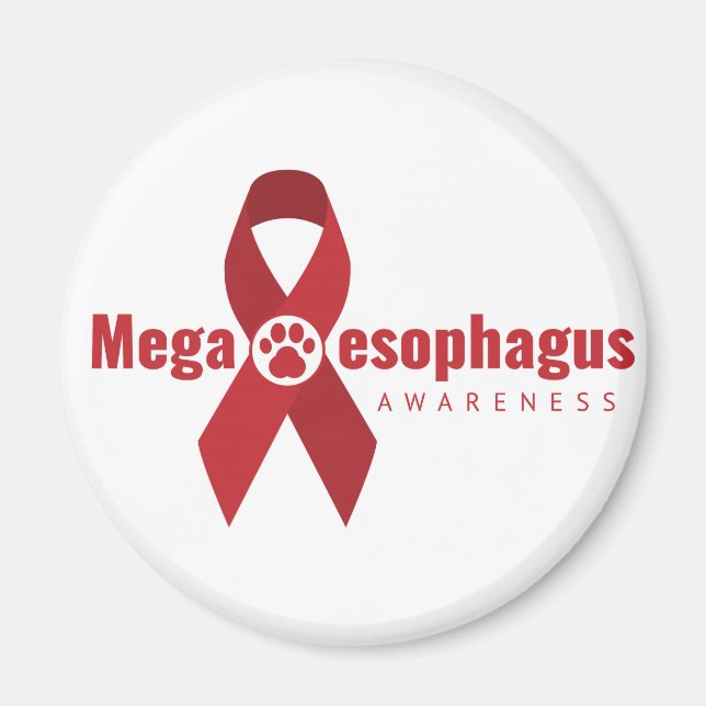 UCB ME Awareness Ribbon magnet (Front)