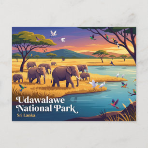 Udawalawe National Park Sri Lanka Postcard