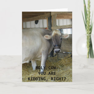 UDDERLY FAB 40th BIRTHDAY HUMOR Card