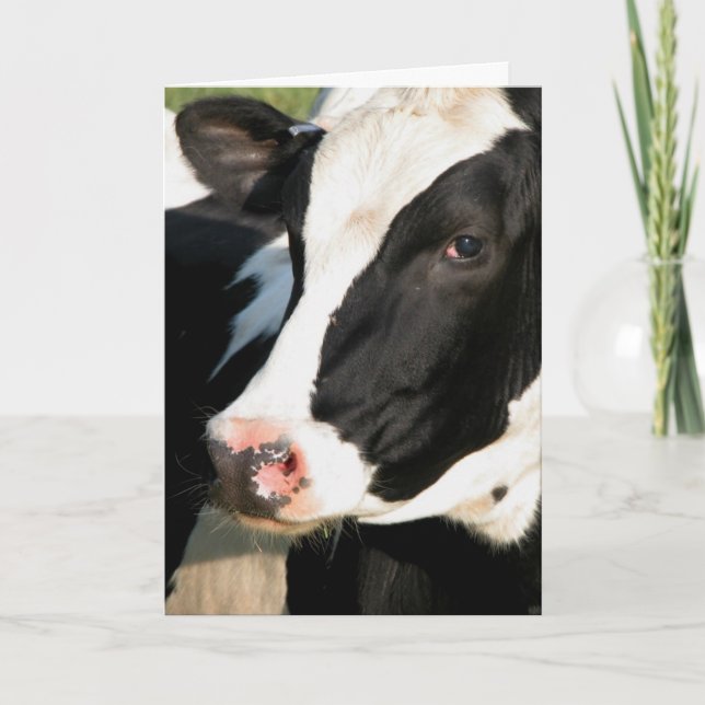 Udderly Happy Birthday Card (Front)