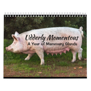 Udderly Momentous Calendar