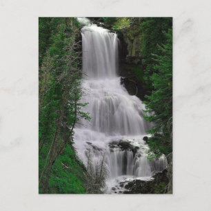 Udine Falls, Yellowstone Park, Wyoming Postcard