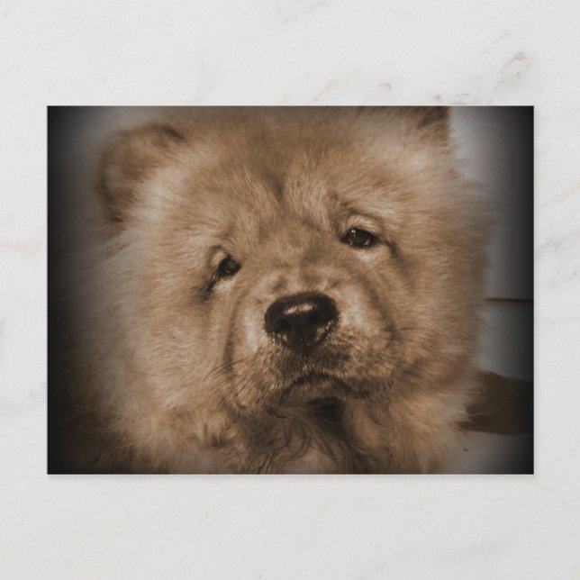 Udon,My Baby Postcard (Front)