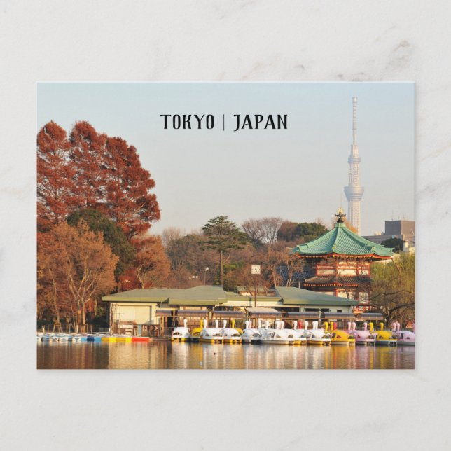 Ueno Park in Tokyo, Japan Postcard (Front)