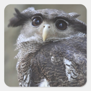 Ueno, Taitoh-ku, Tokyo, Japan 2 Square Sticker