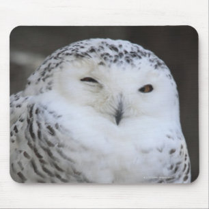 Ueno, Taitoh-ku, Tokyo, Japan Mouse Mat