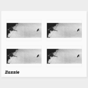 UFO Alien Extraterrestrial Spacecraft Top Secret Rectangular Sticker