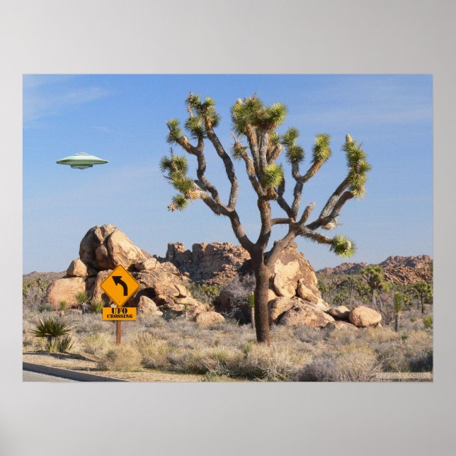 UFO Crossing Poster (Front)