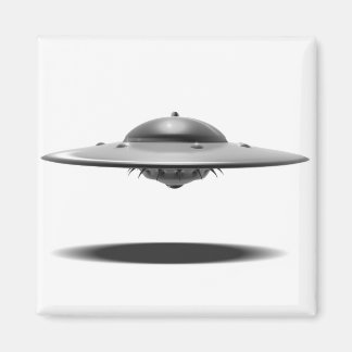 UFO Salamander Magnet