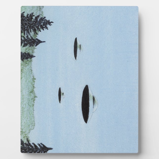 UFO Trio Plaque (Front)