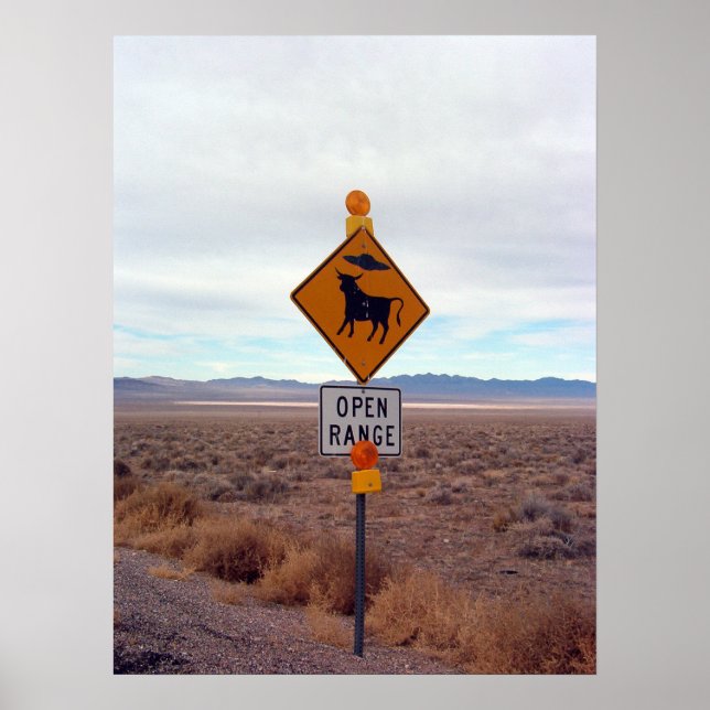 UFOs and Area 51 Poster (Front)