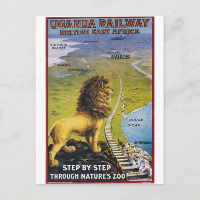 Ugandan Lion Wildlife Vintage Travel Postcard (Front)