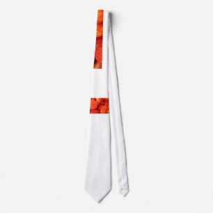 Ugliest tie ever gift lelijkste stropdas ooit