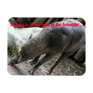 Ugly animals, Babirusa Magnet