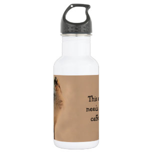 Ugly Chick 532 Ml Water Bottle