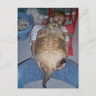 Ugly Fat Cat Postcard