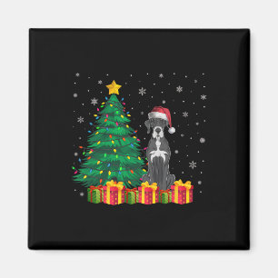 Ugly Great Dane Santa Hat Christmas Lights Dog Lov Magnet