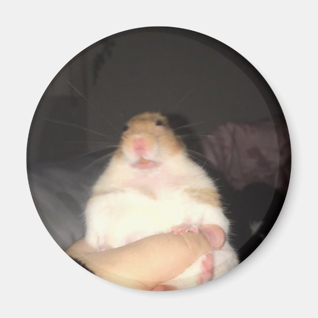 Ugly hamster meme magnet (Front)