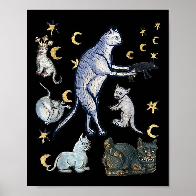 Ugly Mediaeval Cats  Poster (Front)