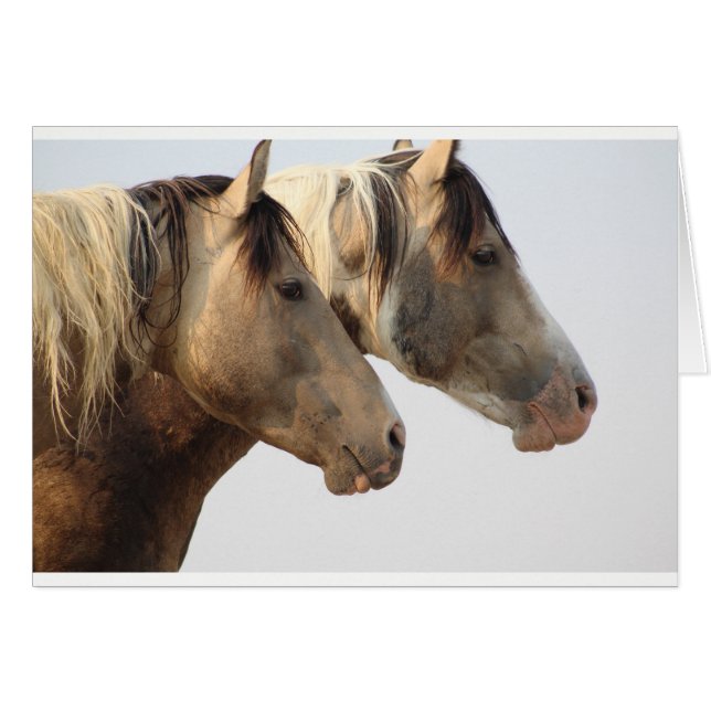 Uinta Desert Wild Horses (Front Horizontal)