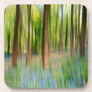 UK England   Bluebell Oak Woodland in Springtime Coaster