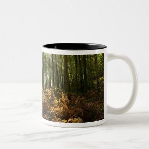 UK, England. Rays of sunlight streaming through Two-Tone Coffee Mug