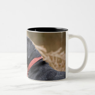 UK, England, Suffolk, Thetford Forest, Black 3 Two-Tone Coffee Mug