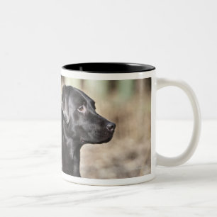 UK, England, Suffolk, Thetford Forest, Black Two-Tone Coffee Mug