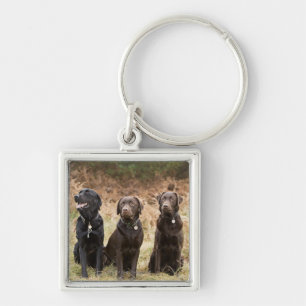 UK, England, Suffolk, Thetford Forest, Portrait Key Ring