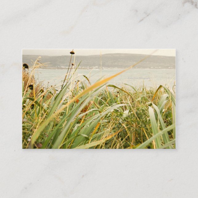 UK / Euro, 8.5 cm x 5.5 cm Business Card (Front)