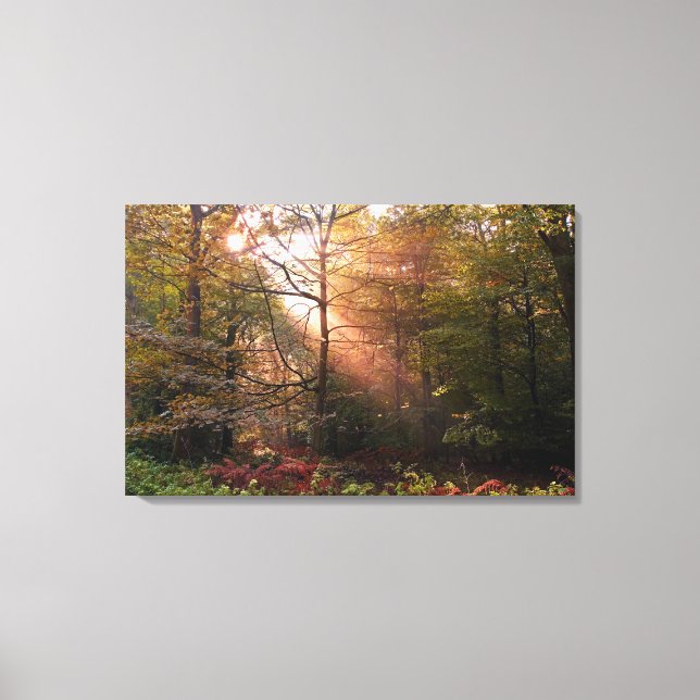 UK. Forest of Dean. Sunbeam penetrating a Canvas Print (Front)